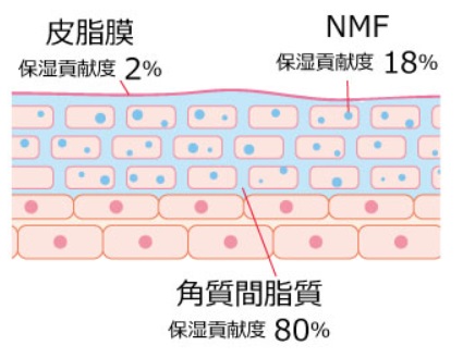 バリア機能２