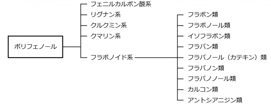 ポリフェノール系統図