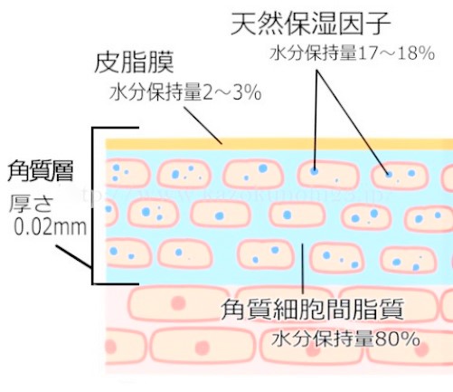 肌のバリア機能と仕組み