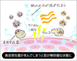 表皮常在菌が死んでしまうと肌が無防備な状態に