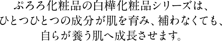 ぷろろ化粧品の白樺化粧品シリーズは、ひとつひとつの成分が肌を育み、補わなくても、自らが養う肌へ成長させます。