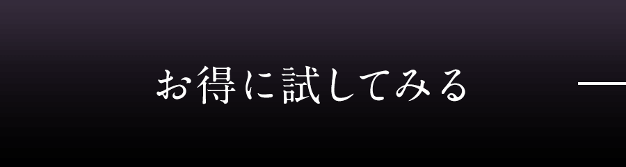 お得に試してみる