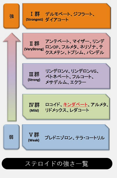 ダイア コート 強 さ